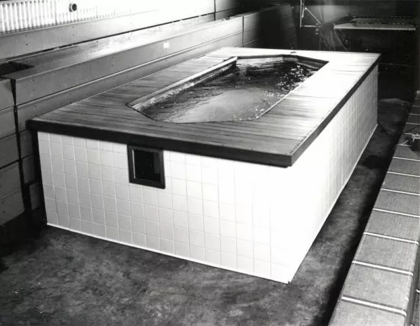 Le tout premier prototype de piscine Endless™